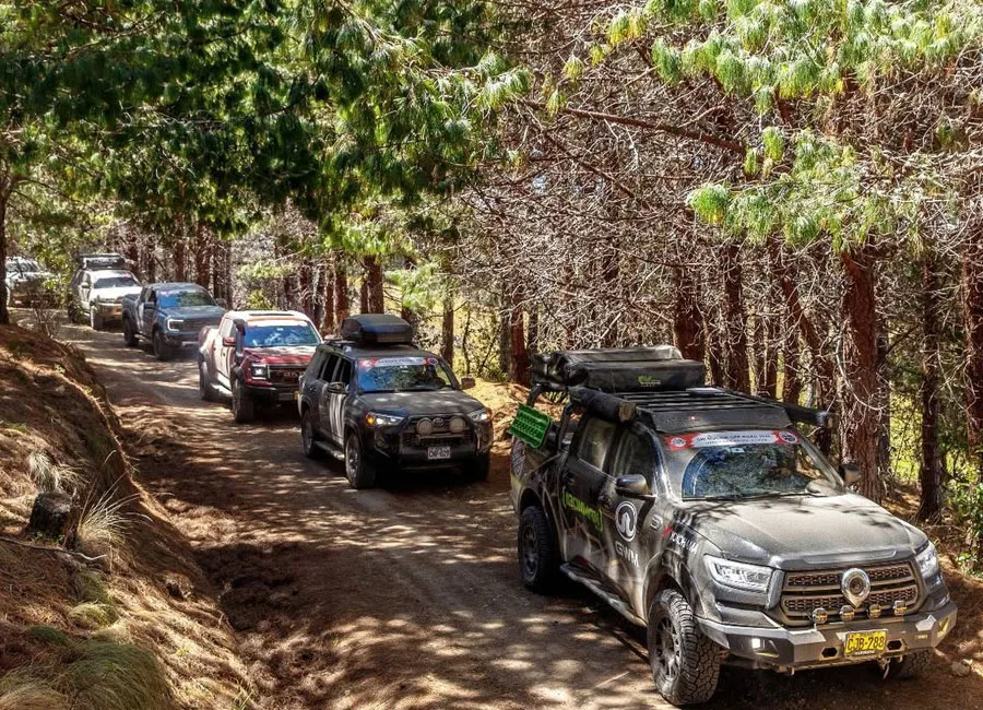 Travesía en bosques